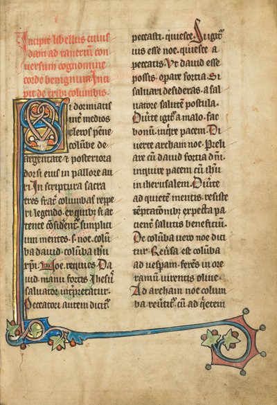 Decorated Initial S by Unbekannt Unbekannt